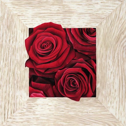 Framed French Roses II Print