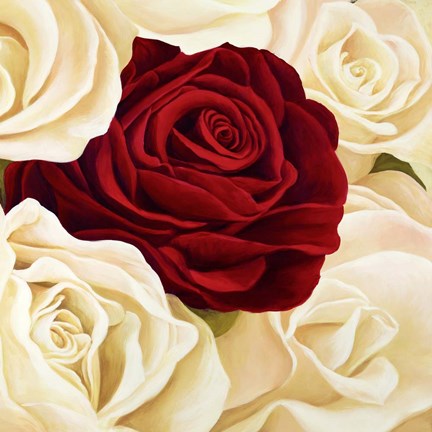 Framed Rose Composition (Detail) Print