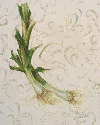 Framed Botanica II Print