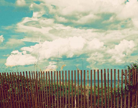 Framed Beyond The Fence Print