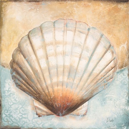 Framed Seashell Collection III Print