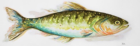 Framed Watercolor Fish II Print