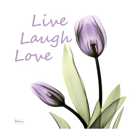Framed Purple Tulips Live Laugh Love Print