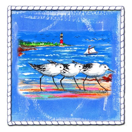 Framed Beach-Front-Shore Birds Print