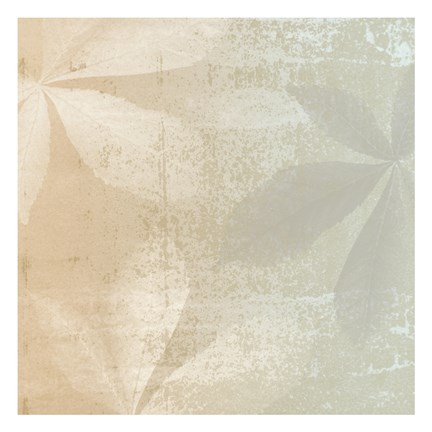 Framed Shaded Leaves 2 Print