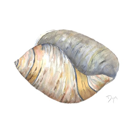 Framed Sea Shell Neutral 1 Print