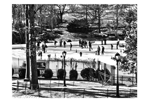 Framed Central Park Skating Print