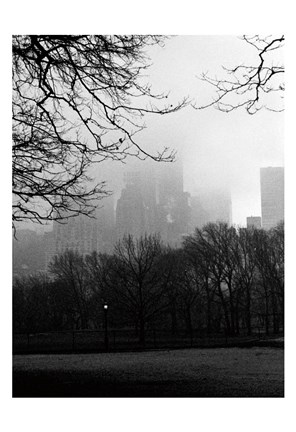 Framed Central Park A Print