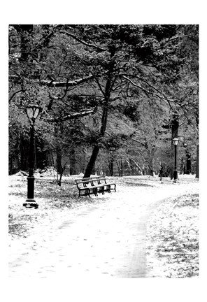 Framed Central Park Snowy Scene 2 Print