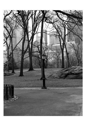 Framed Central Park Image 062 Print