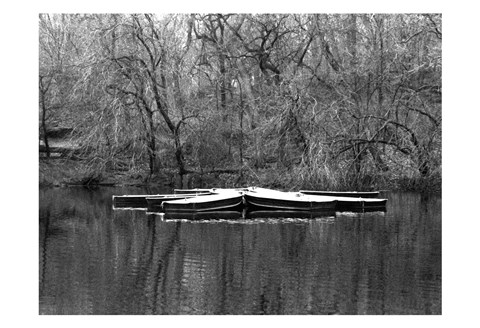 Framed Central Park Rowboats Together Print