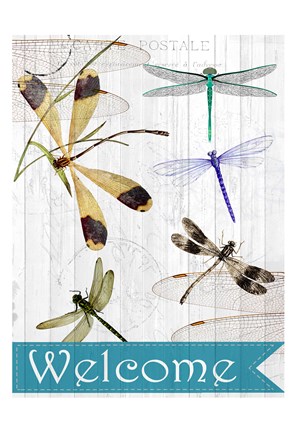 Framed Welcome Dragonflies Print