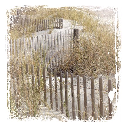 Framed Fence By The Beach Print