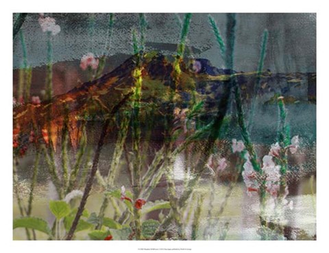 Framed Mountain Wildflowers I Print