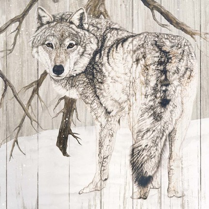 Framed Wolf in Woods on Barn Board Print
