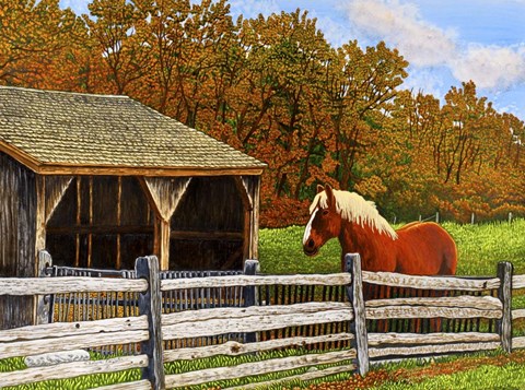 Framed Old Horse Shed, Mumford Ny Print