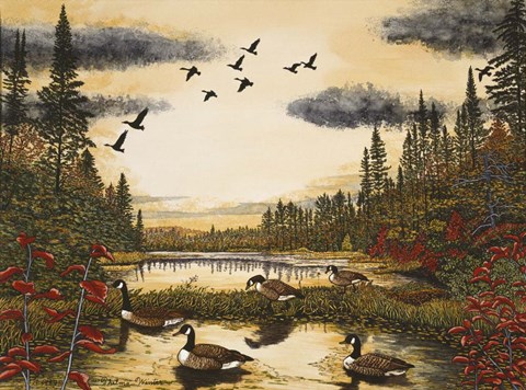 Framed Canada Geese Print