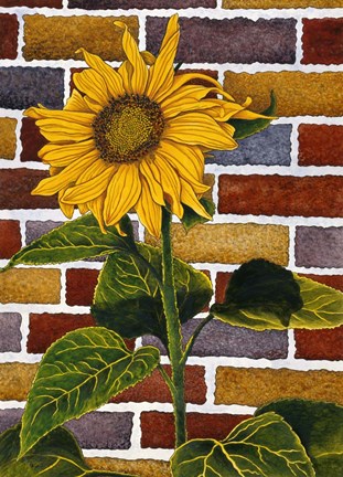 Framed One Sunflower Print
