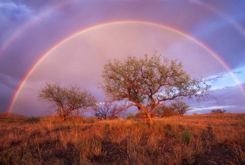 Framed Arizona Rainbow Print