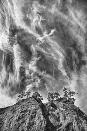 Framed Tree Island Clouds Pushed Print