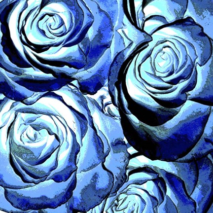 Framed Blue Roses Square Print