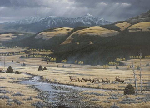 Framed Big Valley Elk Print