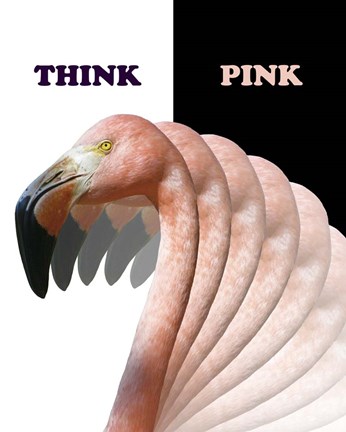 Framed Think Pink Flamingo Print