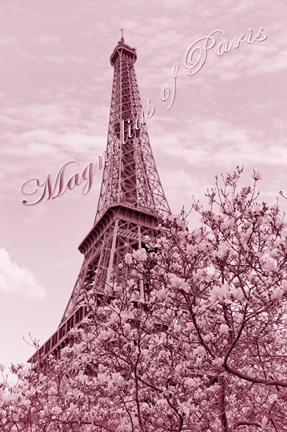 Framed Eiffel Tower with Magnolia Pink Print