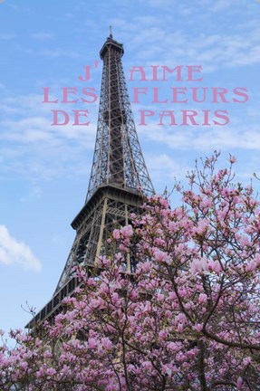 Framed J&#39;aime les Fleur de Paris Print