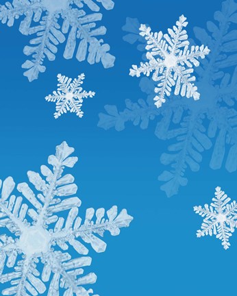 Framed Snowflakes on Blue II Print