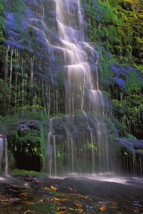 Framed Majestic Waterfall Print