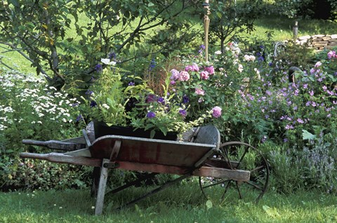 Framed Wheel Barrow with Colorful Blooms Print