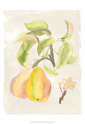 Framed Watercolor Fruit III Print