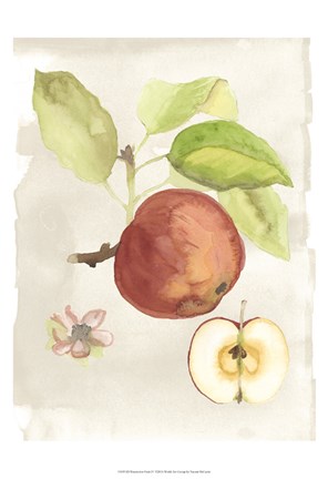 Framed Watercolor Fruit IV Print
