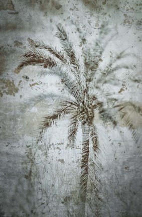 Framed Palm on Concrete Print