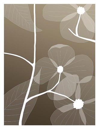 Framed Floral Silhouette 1 Print