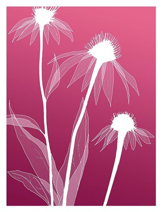 Framed Floral Silhouette 5 Print
