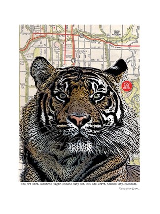 Framed Kansas City Tiger Print