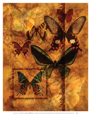 Framed Evocation Of Butterflies Print