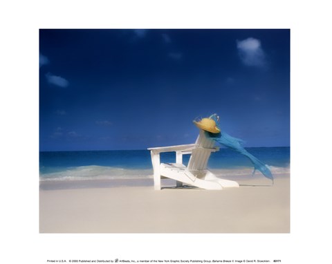 Framed Bahama Breeze II Print