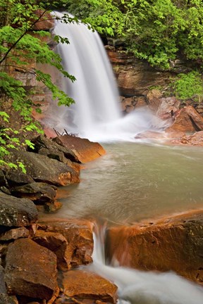 Framed Spring at Douglas Falls Print