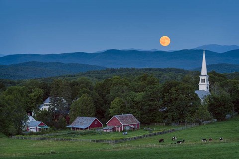 Framed Cow Under the Moon Print