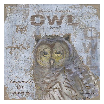 Framed Where Does an Owl Hoot Print