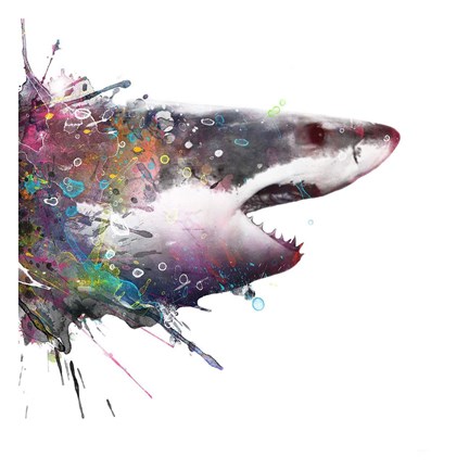 Framed Shark Print