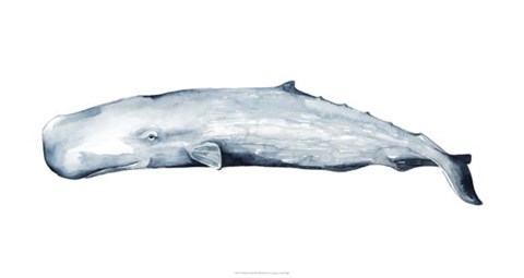 Framed Whale Portrait II Print