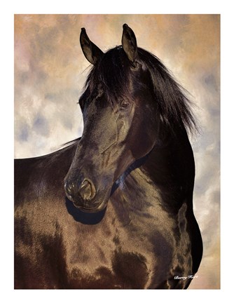 Framed TBD (black horse) Print