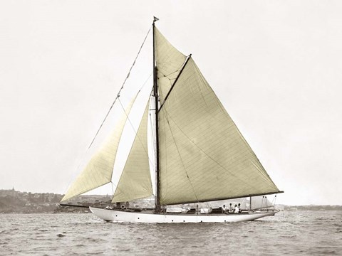 Framed Yacht on Sydney Harbour Print