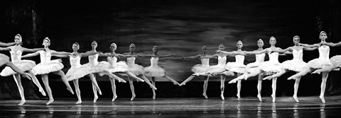 Framed Swan Lake Ballet Print