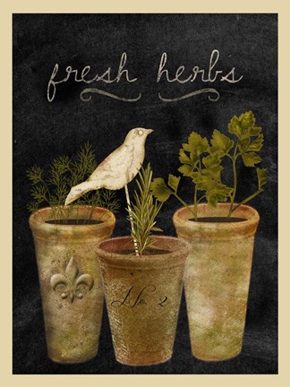 Framed Fresh Herbs Print