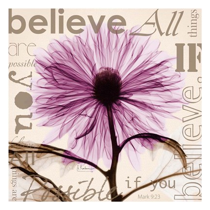 Framed Chrysanthemum Believe Print